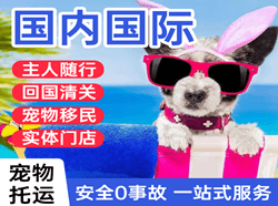 兴凯湖航空邮寄国际宠物托运 【国
